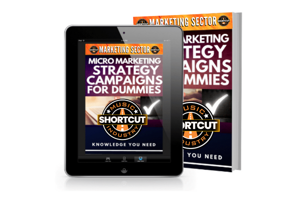 Micro Marketing Strategy Campaigns For Dummies: Knowledge You Need (Membership Course)